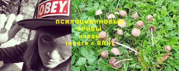 марки lsd Белокуриха