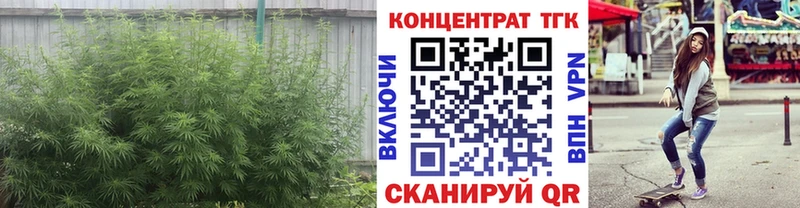 купить наркотик  Купино  Дистиллят ТГК жижа 